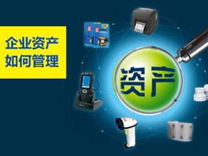 �ɱ��ʲ������������