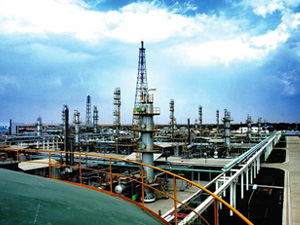 ���KISרҵ�滯����ҵ�������