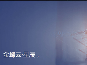 ���ʽ�����ǳ�